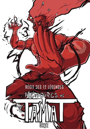 Poster - Couverture Tamat